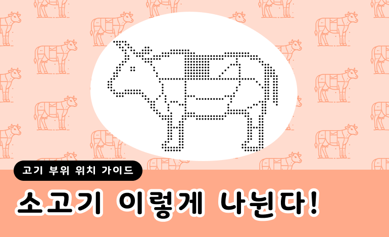 소의 몸에 고기 부위별 영역이 나뉘어 있다.