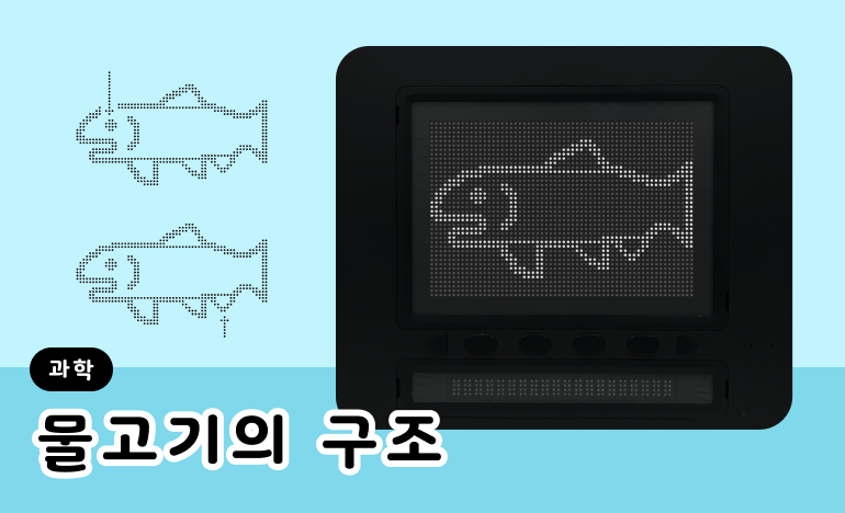 물고기의 왼쪽 모습을 표현한 이미지가 닷 패드에 출력되어 있다.