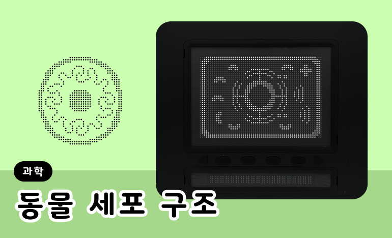 동물 세포의 단면이 닷패드에 출력되어 있다.